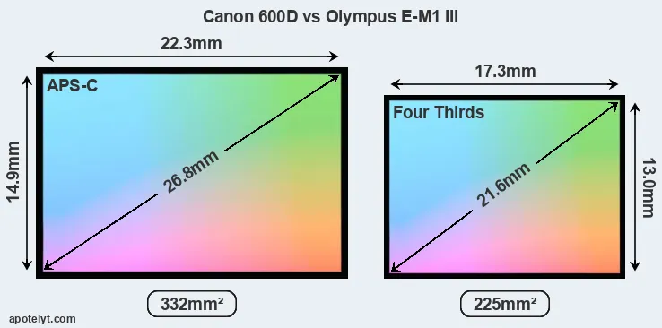 Canon 600D and Olympus E-M1 III sensor measures