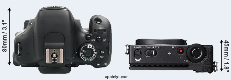 Compare 600D versus fp top