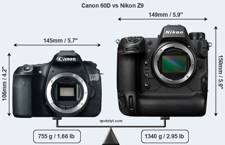 Size Canon 60D vs Nikon Z9