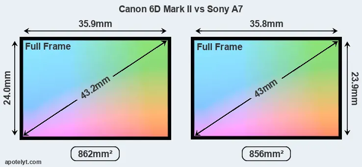 Canon 6D Mark II and Sony A7 sensor measures