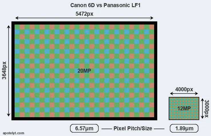 6D versus LF1 MP