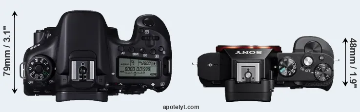 Compare 70D versus A7R top
