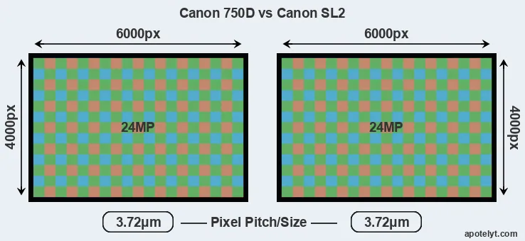 750D versus SL2 MP