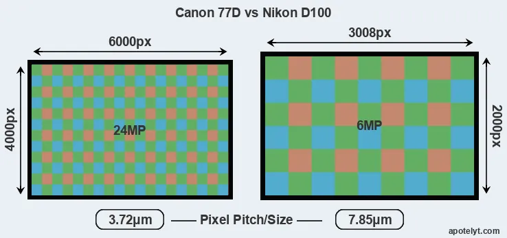 77D versus D100 MP