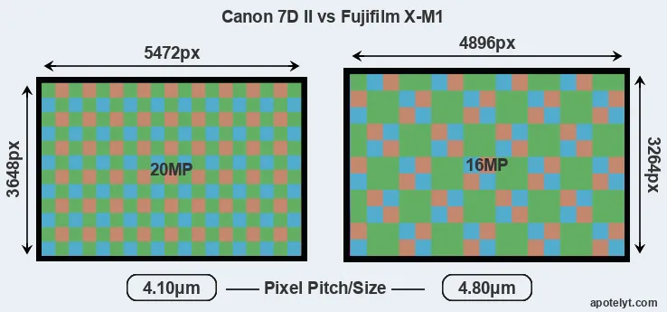 7D Mark II versus X-M1 MP