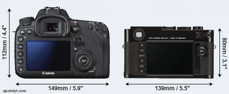 Comparison 7D Mark II or M Typ 262 rear