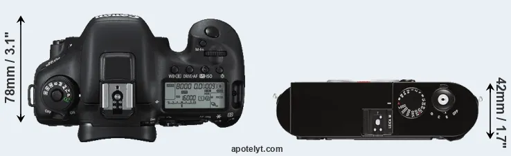 Compare 7D Mark II versus M Typ 262 top