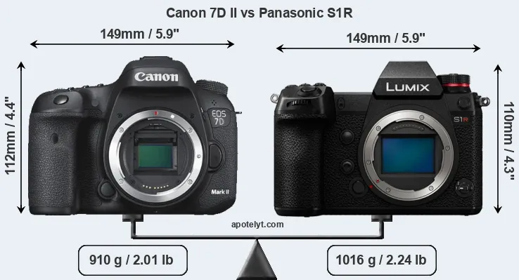 Size Canon 7D II vs Panasonic S1R