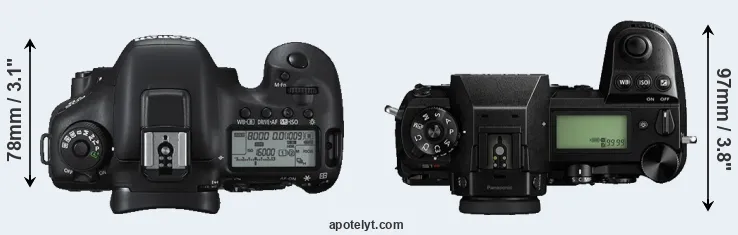 Compare 7D Mark II versus S1R top