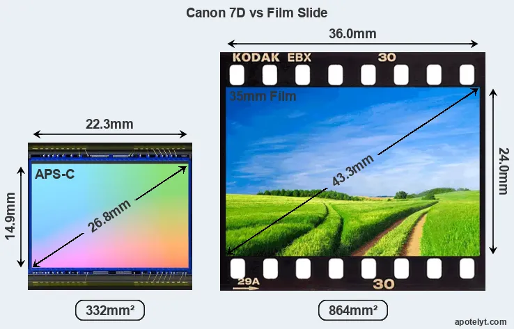Canon 7D sensor measures