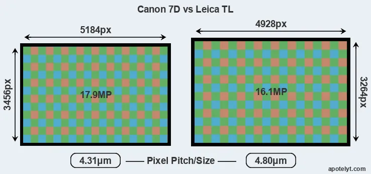 7D versus TL MP