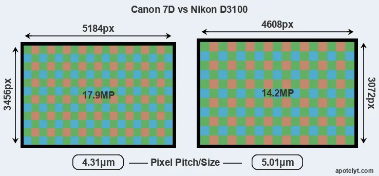 7D versus D3100 MP