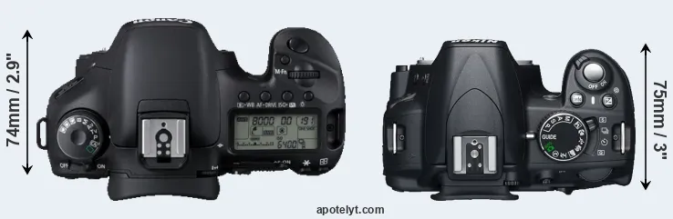 Compare 7D versus D3100 top