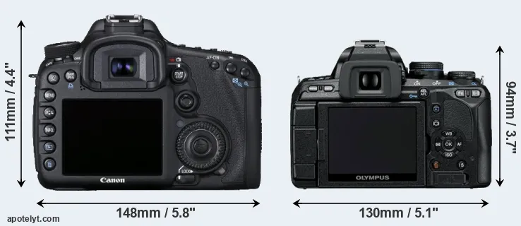 Comparison 7D or E-600 rear