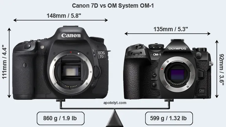 Size Canon 7D vs OM System OM-1