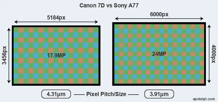 7D versus A77 MP