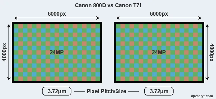 800D versus T7i MP