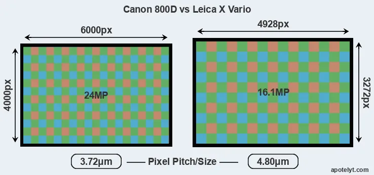 800D versus X Vario MP