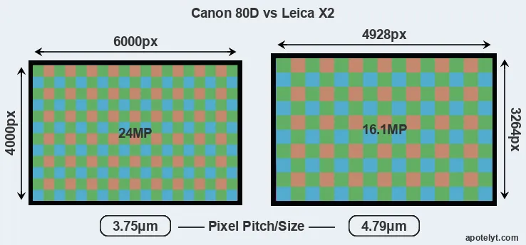 80D versus X2 MP