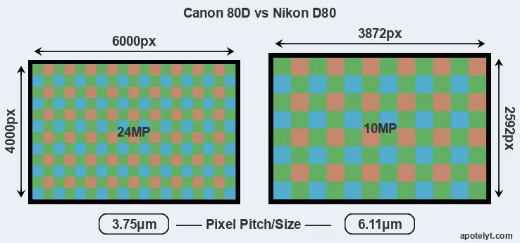 80D versus D80 MP