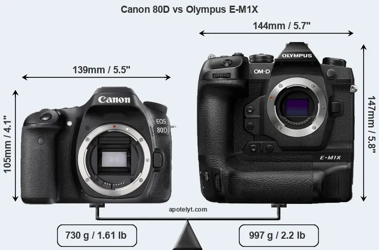 Size Canon 80D vs Olympus E-M1X