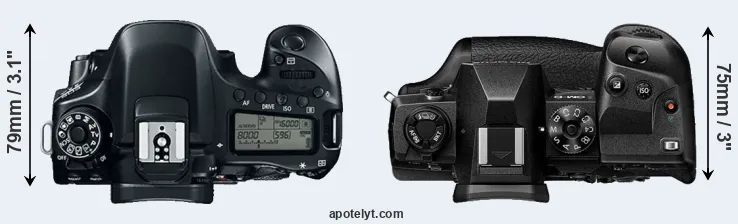 Compare 80D versus E-M1X top