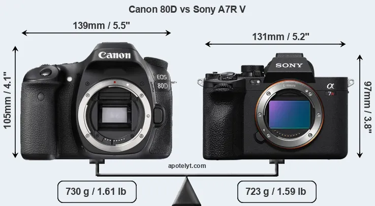 Size Canon 80D vs Sony A7R V