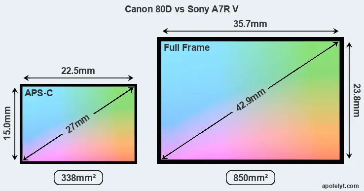 Canon 80D and Sony A7R V sensor measures