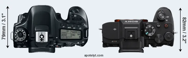 Compare 80D versus A7R V top