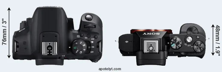 Compare 850D versus A7R top