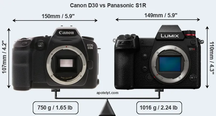 Size Canon D30 vs Panasonic S1R
