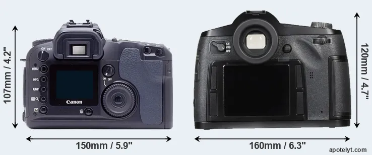 Comparison D60 or S Typ 007 rear