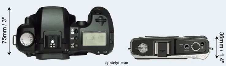 Compare D60 versus E-P2 top