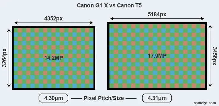 G1X versus T5 MP