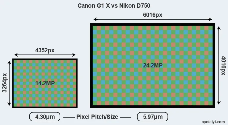 G1X versus D750 MP