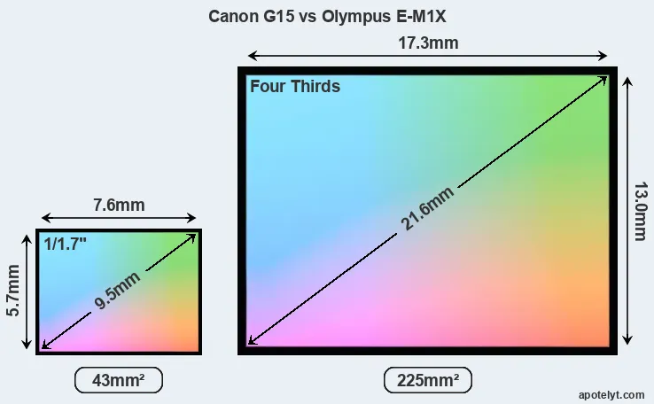 Canon G15 and Olympus E-M1X sensor measures