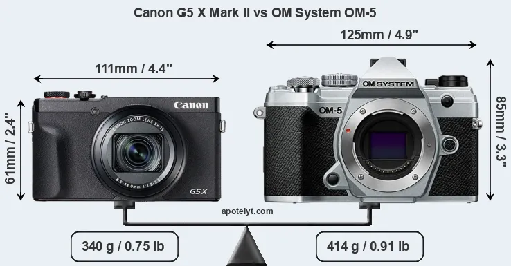 Size Canon G5 X Mark II vs OM System OM-5
