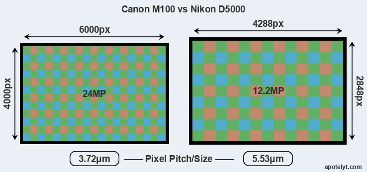 M100 versus D5000 MP