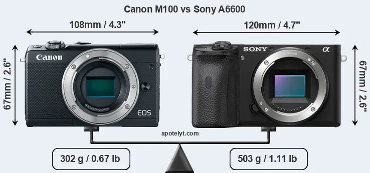 Size Canon M100 vs Sony A6600