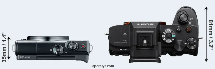Compare M100 versus A7S III top