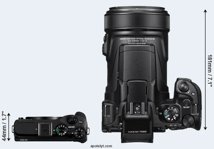 Compare M3 versus P1000 top