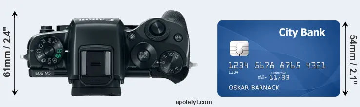 M5 versus credit card top view