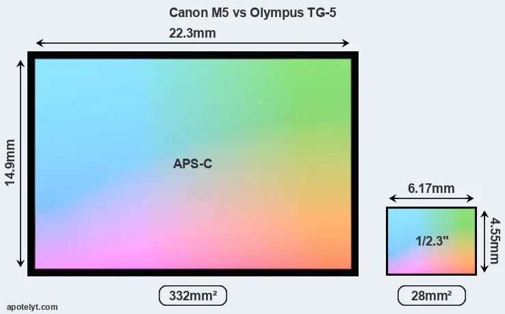Canon M5 and Olympus TG-5 sensor measures