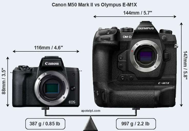 Size Canon M50 Mark II vs Olympus E-M1X
