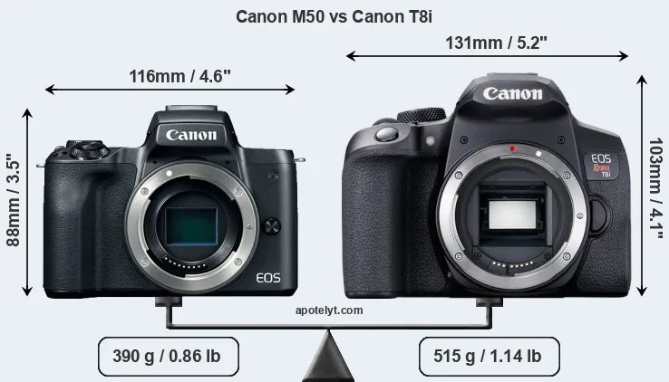 Size Canon M50 vs Canon T8i