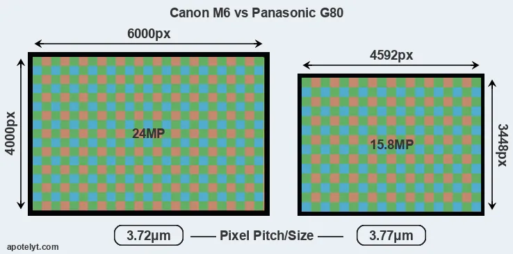 M6 versus G80 MP