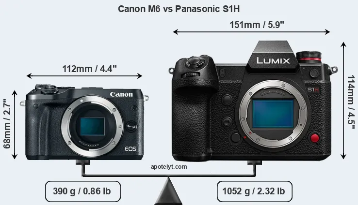 Size Canon M6 vs Panasonic S1H