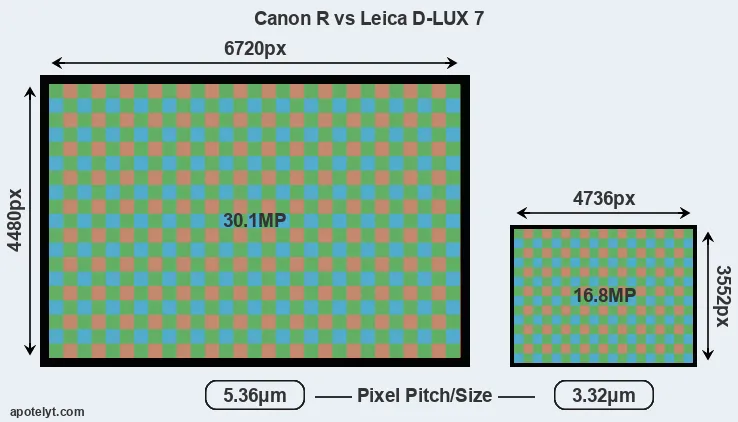 Canon R versus D-LUX 7 MP