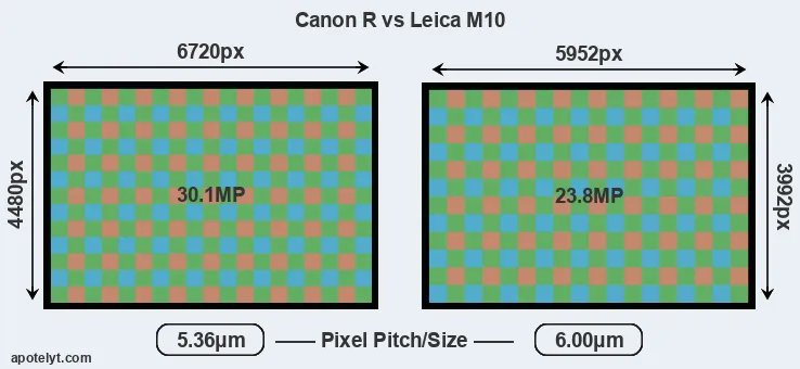 Canon R versus M10 MP