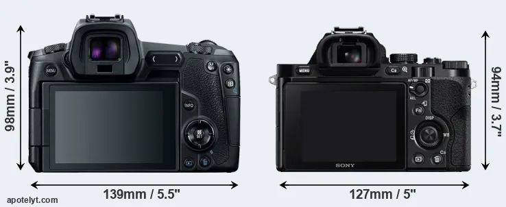 Comparison Canon R or A7R rear